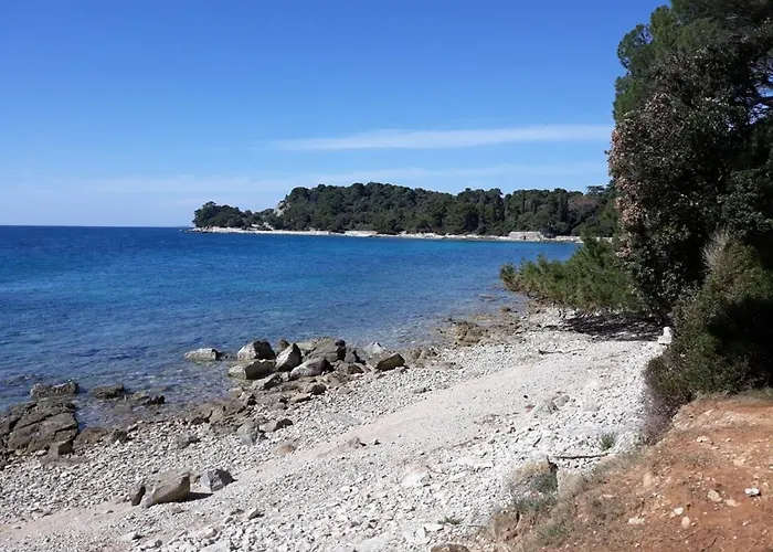 Apartment Seaview Rovinj
